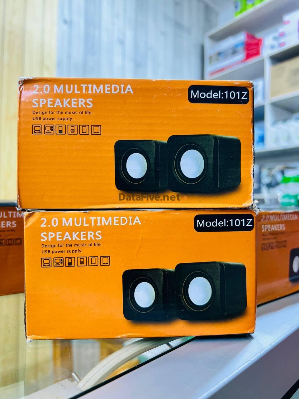 Speaker 2.0 Multimedia Model 101Z